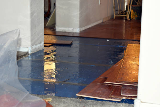 Professional Burst Pipe Cleanup technician working in Norco, LA